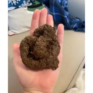 Flash Sale HIGH QUALITY Fake Dog Poop Poo Realistic Doggy Doo Doo Dirt Joke Gag Crap Pile - Miniature Marvels: Airplane Models & Painted Dice Egpull