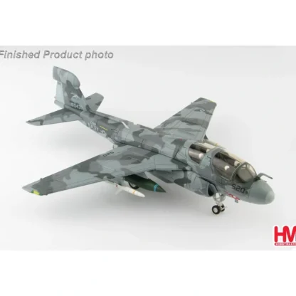 Hobby Master HA5010 1:72 EA-6B Prowler 160437, VAQ-142, Bagram Airfield, Afghanistan "Operation Iraqi Freedom" - Miniature Marvels: Airplane Models & Painted Dice* Airplane Model