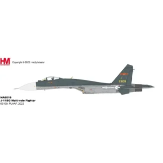 Hobby Master HA6016 1:72 J-11BG Multi-Role Fighter - Miniature Marvels: Airplane Models & Painted Dice* Airplane Model