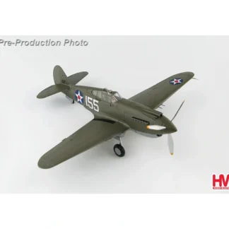 Hobby Master HA9202 1:48 P-40B - Miniature Marvels: Airplane Models & Painted Dice* Airplane Model