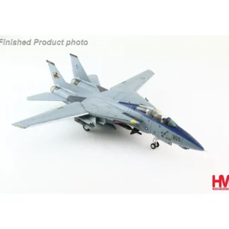Hobby Master HA5238 1:72 U.S Navy F-14D VF-213 Blacklions - Miniature Marvels: Airplane Models & Painted Dice* Airplane Model