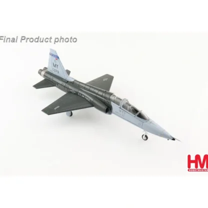 Hobby Master HA5407 1:72 USAF T-38C Talon 49th FTS "Black Knights", Moody AFB, Georgia 2006 - Miniature Marvels: Airplane Models & Painted Dice* Airplane Model