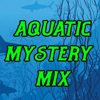 Online Reaper Aquatic Mystrery Mix 01033 - Miniature Marvels: Airplane Models & Painted Dice Reaper Miniatures