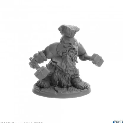 Online Reaper Dwarf Warrior: Dorn Ironspike 30089 - Miniature Marvels: Airplane Models & Painted Dice Reaper Miniatures