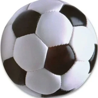 Clearance 12 Soccer Ball Car Magnets ~ Large 5 1/2" Round ~ Sports Team Soccer Mom (1 dz) - Miniature Marvels: Airplane Models & Painted Dice Egpull